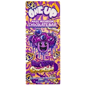 Blueberry Cheesecake One Up Mushroom Bar